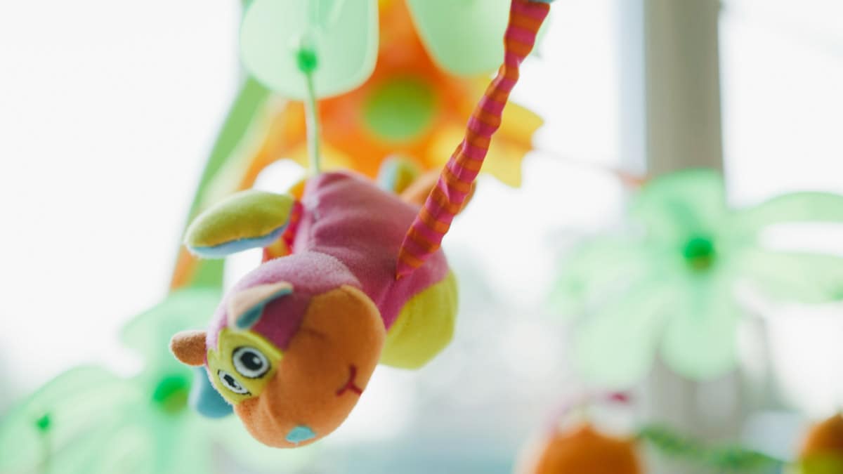 Stad Peer - Onthaalouders - wervingvideo - videomontage - videomonteur - Branding fotografie - campagne fotografie - portretfotografie - portretten – portretfoto’s - productfotografie - aftermovie - Levi Lenaerts - blikopener - professionele fotografie en bedrijfsvideo's - www.blikopener.be - Oudsbergen, Limburg