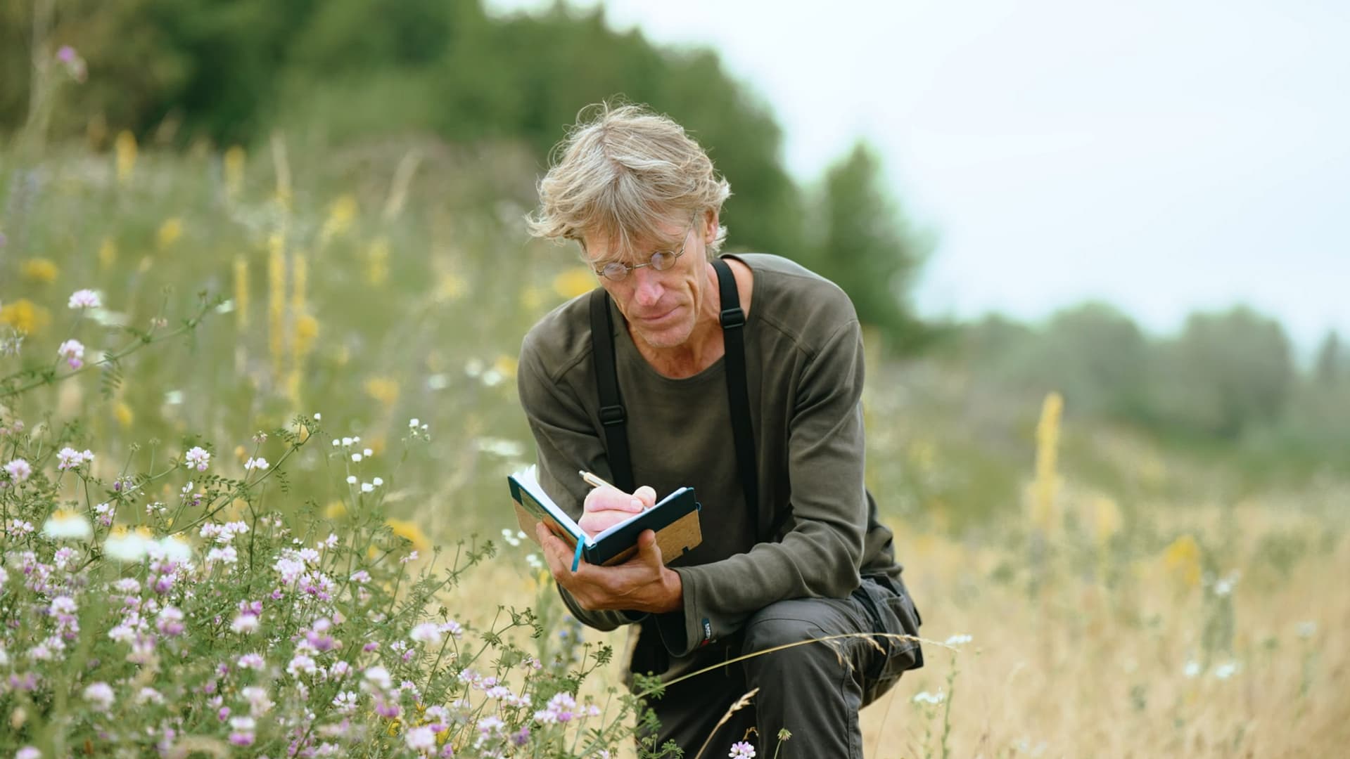 Videoportret - bedrijfsvideo - imagovideo -Kris Van looy - campagne fotografie - portretfotografie - portretten - videoportret - Levi Lenaerts - blikopener - professionele fotografie en bedrijfsvideo's - www.blikopener.be